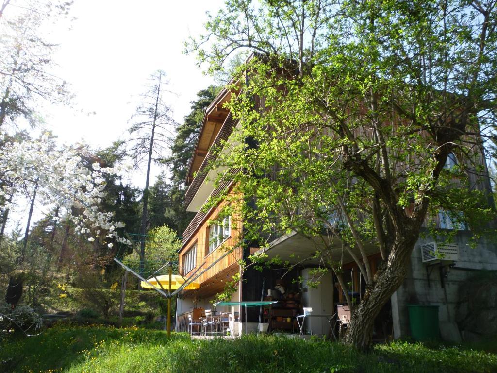 Pension Casa Selva Trin Ngoại thất bức ảnh